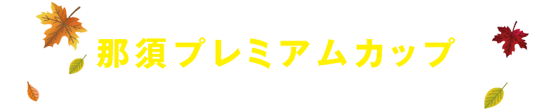栃木県那須スポーツパーク2025年11月那須プレミアムカップ サッカー大会
