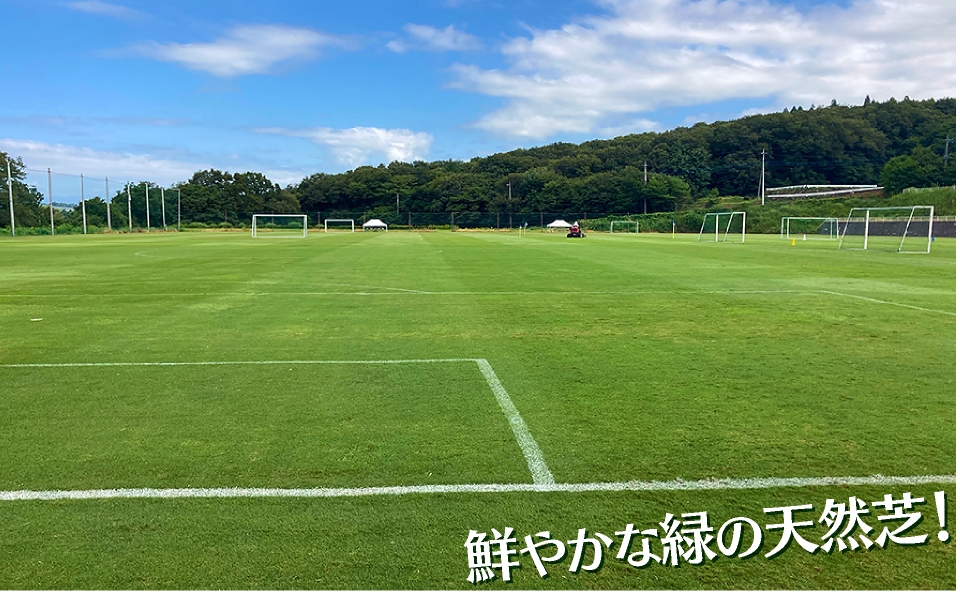 鮮やかな緑の天然のような人口芝！