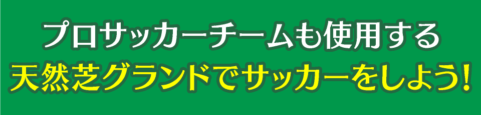 プロサッカーチームも使用する天然芝グランドでサッカーをしよう!